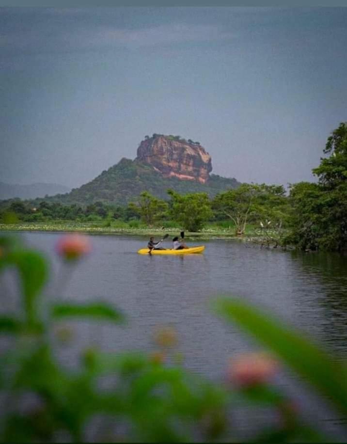 Amron Resort Sigiriya Habitación foto